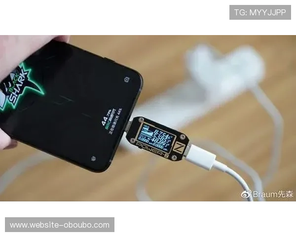 欧博官网入口多平台登录方式详解支持手机电脑多设备无缝切换体验最佳游戏体验